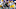 LSU Tigers quarterback Garrett Nussmeier