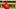 St. Louis Cardinals third baseman Nolan Gorman St. Louis Cardinals third baseman Nolan Gorman