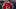 Tampa Bay Buccaneers defensive tackle Vita Vea