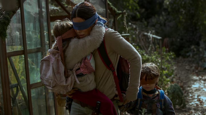 Bird Box