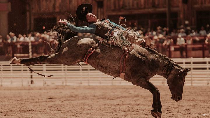 Jayco Roper makes a bareback ride on Sunday at CFD Jayco Roper makes a bareback ride on Sunday at CFD