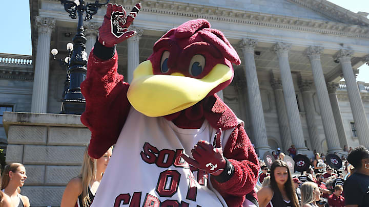 South Carolina Gamecocks mascot Cocky