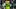 oregon ducks punter bailey ettridge ross james coach dan lanning big ten college football autzen stadium punting oregon ducks punter bailey ettridge ross james coach dan lanning big ten college football autzen stadium punting