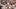 Nov 22, 2025; Austin, Texas, USA; Texas Longhorns wide receiver DeAndre Moore Jr (0) reacts after making a reception for a to Nov 22, 2025; Austin, Texas, USA; Texas Longhorns wide receiver DeAndre Moore Jr (0) reacts after making a reception for a to