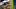 oregon ducks dan lanning class 2030 recruit interior offensive lineman recruiting commitment offer tyson daniels washington