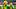 Oregon Ducks College Football Big Ten Devon Jackson Nasir Wyatt linebackers Jerry Mixon Boise State Broncos season opener 