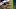 Oregon Ducks dan lanning eugene autzen stadium malachi garlington college football recruiting oregon ducks recruiting. Oregon Ducks dan lanning eugene autzen stadium malachi garlington college football recruiting oregon ducks recruiting.
