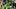 oregon ducks jordon davison injury update practice video fall camp running back dierre hill jr ra'shaad samples sophomore oregon ducks jordon davison injury update practice video fall camp running back dierre hill jr ra'shaad samples sophomore