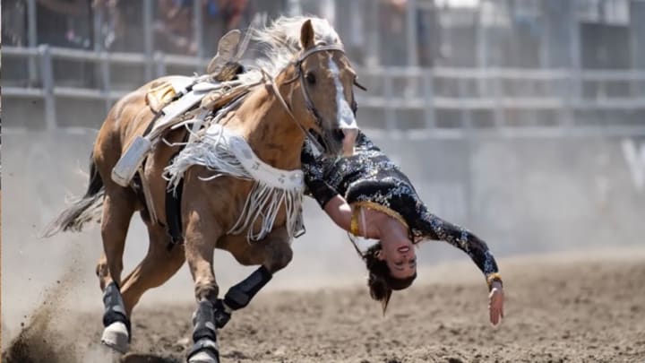 Desert Rodeo Action Desert Rodeo Action