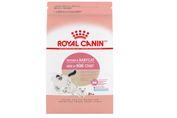 Nursing cat food cheap