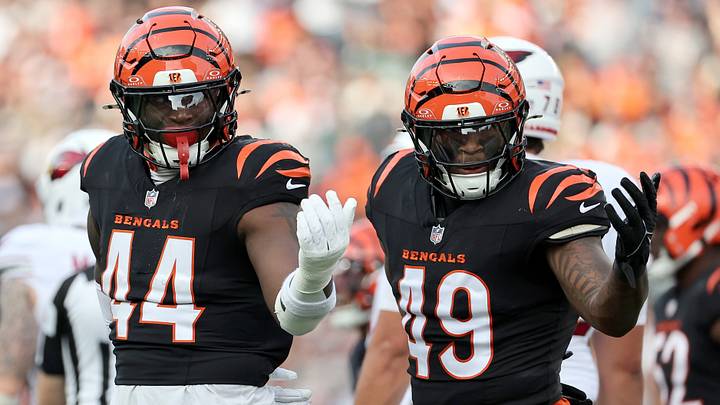 Dec 28, 2025; Cincinnati, Ohio, USA; Cincinnati Bengals linebacker Demetrius Knight Jr. (44) and Cincinnati Bengals linebacker Barrett Carter (49) react after a play during the second half against the Arizona Cardinals at Paycor Stadium. Mandatory Credit: Joseph Maiorana-Imagn Images