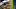 Oregon Ducks Boise State Broncos College Football Big Ten Washington Huskies Ashton Jeanty running back LA Bowl Mountain West