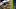 Oregon Ducks College Football Big Ten 2027 recruiting class Dan Lanning Anthony Jones Jr. Dan Lanning Hayden Stepp Big Ten Oregon Ducks College Football Big Ten 2027 recruiting class Dan Lanning Anthony Jones Jr. Dan Lanning Hayden Stepp Big Ten
