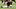 Dallas Cowboys quarterback Dak Prescott stretches before practice at the Ford Center at the Star Training Facility.
