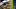 oregon ducks dan lanning california golden bears tosh lupoi official visit georgia bulldogs alabama recruit hayden stepp oregon ducks dan lanning california golden bears tosh lupoi official visit georgia bulldogs alabama recruit hayden stepp