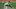New York Yankees starting pitcher Elmer Rodriguez throws a baseball