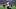 Oct 4, 2026; Houston, Texas, USA; Houston Texans wide receiver Nico Collins (12) leaves the field after a game against the D Oct 4, 2026; Houston, Texas, USA; Houston Texans wide receiver Nico Collins (12) leaves the field after a game against the D