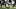 Peyton Bowen, Oklahoma Sooners