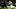 Oregon Ducks running back Jay Harris (22) strong arms Purdue Boilermakers linebacker Kydran Jenkins (4).