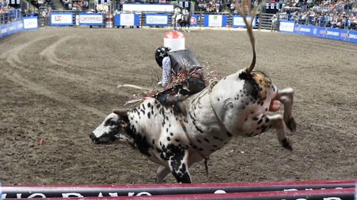 Stetson Wright bull rides 