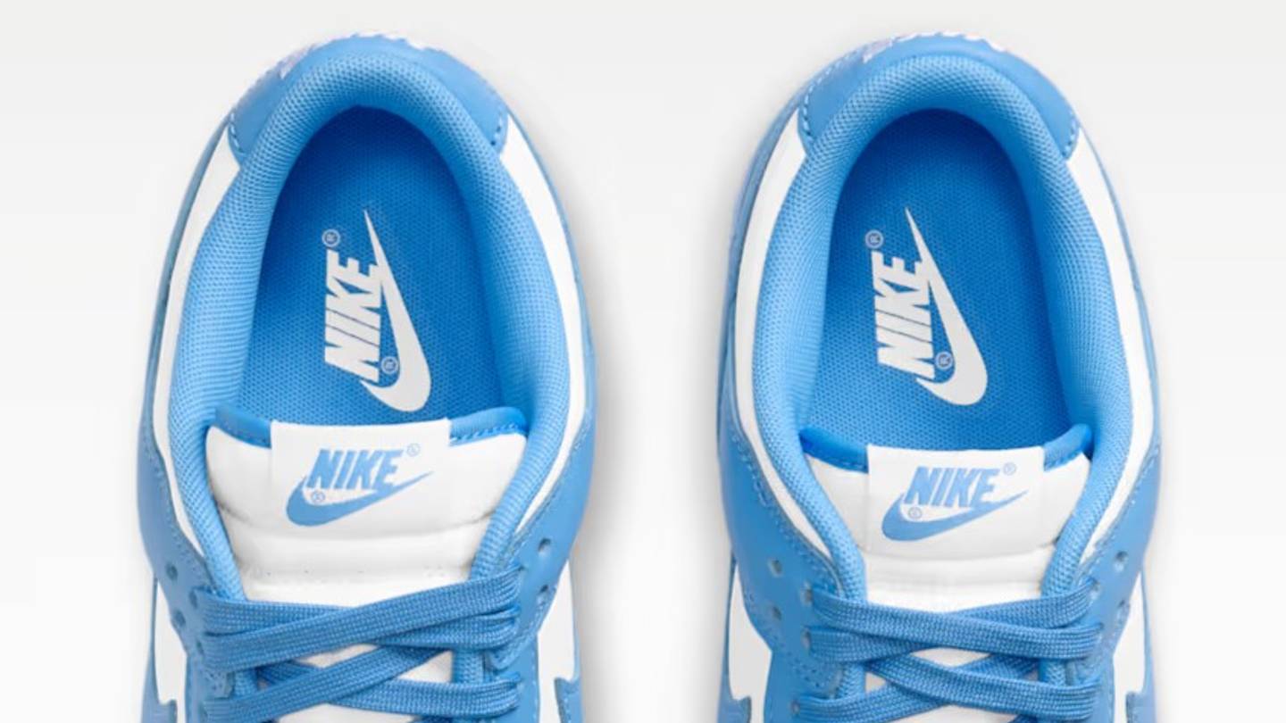 The Nike Dunk Low 
