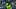 Seattle Seahawks running back Marshawn Lynch Seattle Seahawks running back Marshawn Lynch