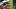 Oregon Ducks recruiting college football malik howard dan lanning colton johnson upperman eugene official visit Oregon Ducks recruiting college football malik howard dan lanning colton johnson upperman eugene official visit