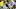 Oregon Ducks Boise State Michigan Wolverines Dave Portnoy Week 1 college football Dan Lanning Western Michigan controversy Oregon Ducks Boise State Michigan Wolverines Dave Portnoy Week 1 college football Dan Lanning Western Michigan controversy