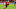 Toronto FC’s Josh Sargent