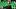 Oregon Ducks dan lanning eugene dylan raiola Dayton Raiola buford wolves high school autzen stadium tight end quarterback