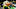 Oregon Ducks college football the duck big red toldeo western kentucky sparty michigan state college mascots. 