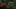image_c069def6 image_c069def6