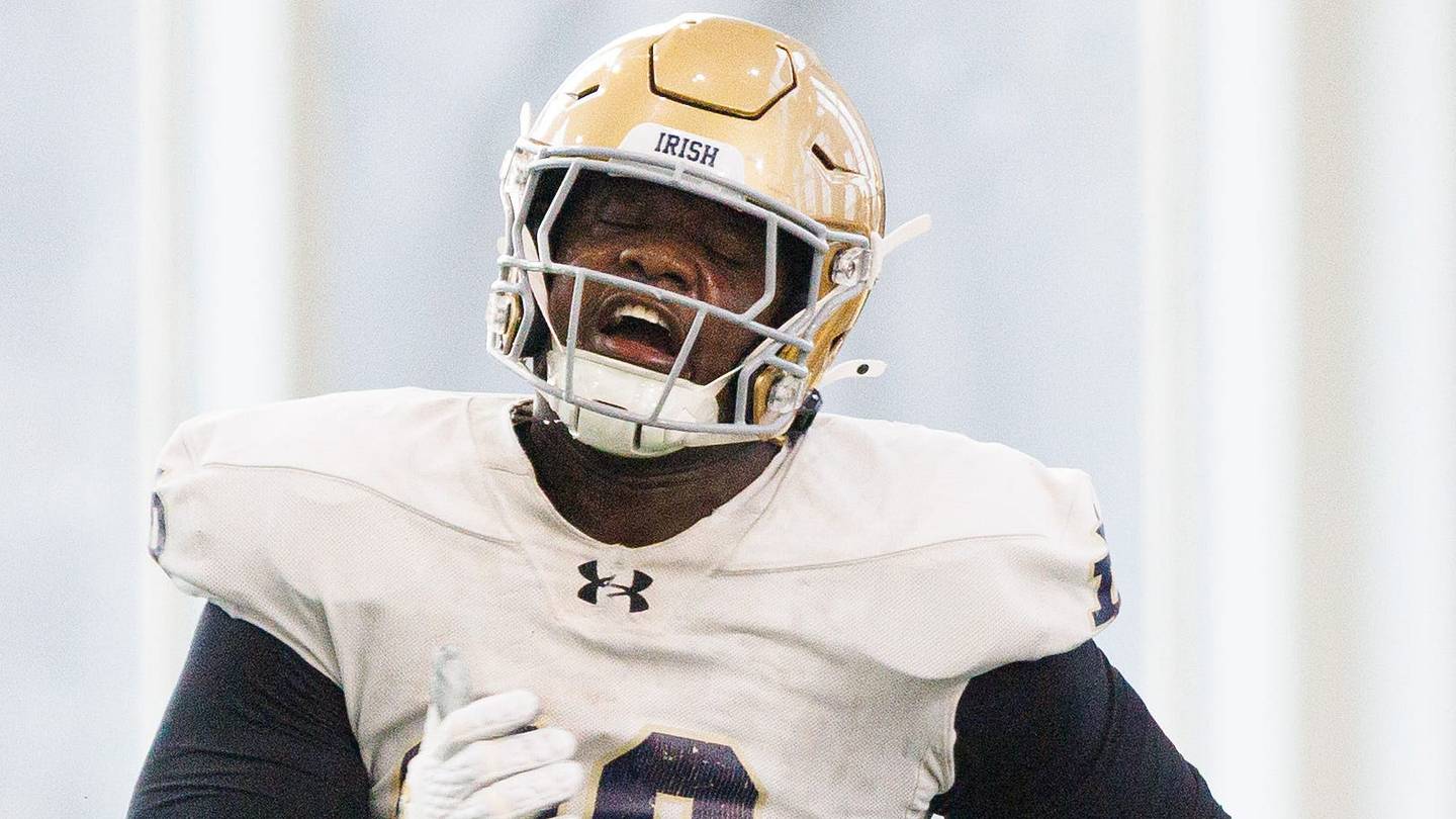 Marcus Freeman is giddy over Notre Dame's embarrassment of riches on the DL