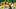 Oregon Ducks college athletics football men's basketball women's basketball softball baseball volleyball eugene. Oregon Ducks college athletics football men's basketball women's basketball softball baseball volleyball eugene.