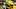 oregon ducks dan lanning dante dakorien moore wide receiver tight end quarterback dylan raiola evan stewart offensive line oregon ducks dan lanning dante dakorien moore wide receiver tight end quarterback dylan raiola evan stewart offensive line