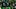 oregon ducks quarterback dante moore coach dan lanning dylan raiola college football playoff ap poll top-25 autzen big ten oregon ducks quarterback dante moore coach dan lanning dylan raiola college football playoff ap poll top-25 autzen big ten