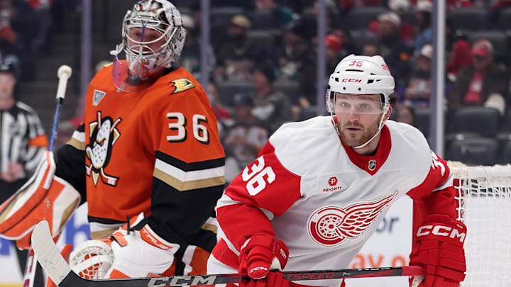 Detroit Red Wings v Anaheim Ducks