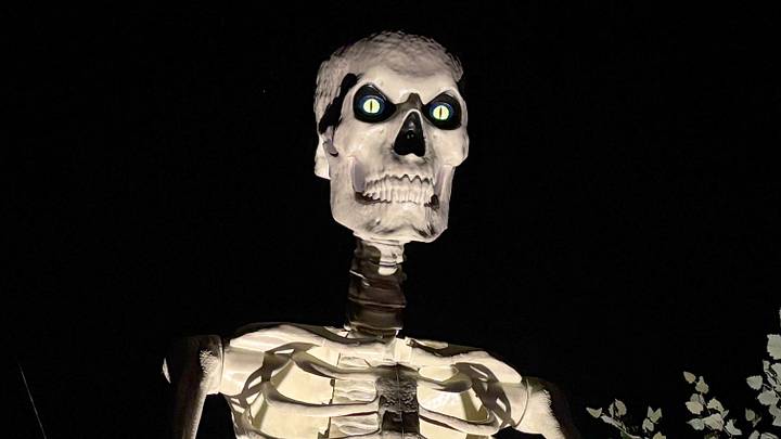 A giant skeleton Halloween decorations on Convent Rd. In Blauvelt Oct. 16, 2025.