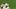 Miami Hurricanes defensive lineman Rueben Bain Jr. Miami Hurricanes defensive lineman Rueben Bain Jr.