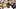 Nov 8, 2025; Morgantown, West Virginia, USA; Colorado Buffaloes head coach Deion Sanders walks along the sidelines late in th Nov 8, 2025; Morgantown, West Virginia, USA; Colorado Buffaloes head coach Deion Sanders walks along the sidelines late in th