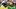 Oregon Ducks Dakorien Moore Dan Lanning block touchdown quote freshman wide receiver five-star recruit Oregon Ducks Dakorien Moore Dan Lanning block touchdown quote freshman wide receiver five-star recruit