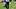 Dallas Cowboys wide receiver Traeshon Holden walks off the field after practice at the Ford Center. Dallas Cowboys wide receiver Traeshon Holden walks off the field after practice at the Ford Center.