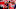 Bryan Mbeumo, Matheus Cunha, Ruben Amorim