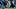 Buffalo Bills' defensive lineman Deone Walker pressures Carolina Panthers' quarterback Bryce Young in the preseason. Buffalo Bills' defensive lineman Deone Walker pressures Carolina Panthers' quarterback Bryce Young in the preseason.