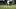 Texas A&M Aggies quarterback Marcel Reed