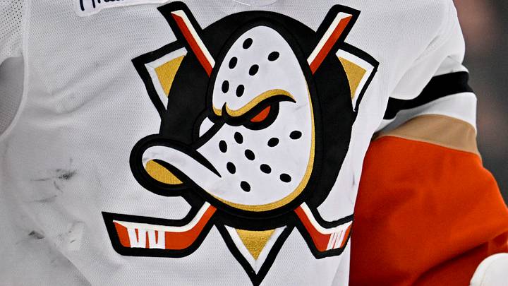 Mar 18, 2025; Dallas, Texas, USA; A view of the logo on the jersey of Anaheim Ducks goaltender Lukas Dostal (1) during the second period against the Dallas Stars at the American Airlines Center. Mandatory Credit: Jerome Miron-Imagn Images