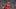 Liverpool FC v Bayer 04 Leverkusen - UEFA Champions League 2024/25 League Phase MD4