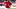 Mason Mount Mason Mount