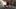 V1-0001_bnd_itlrA_t_4k_rec709_full_2000x838_thumbnail