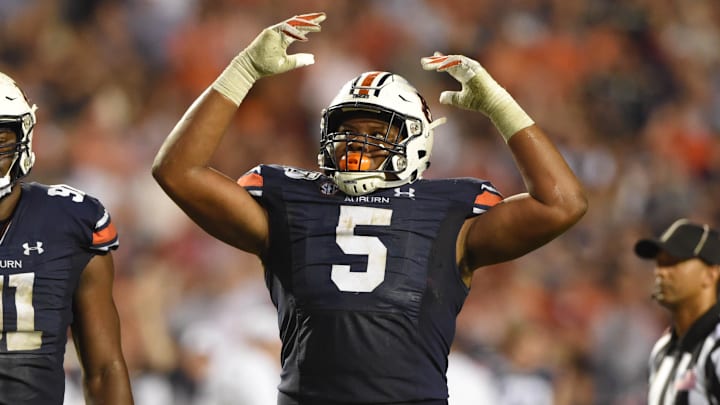 Former Auburn Tigers defensive tackle Derrick Brown returns from injury for the Carolina Panthers after missing nearly all of 2024.